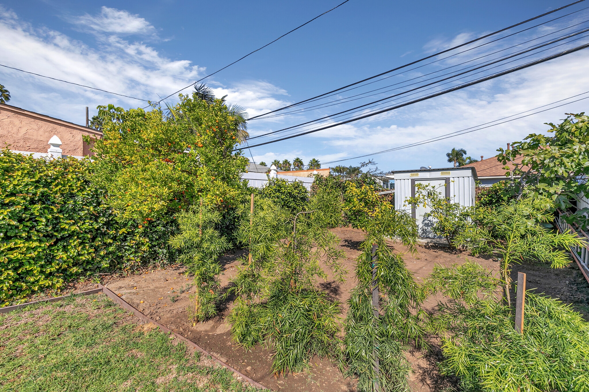 Building Photo - 3620 Tuller Ave