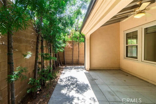 Building Photo - 33 Bromeliad