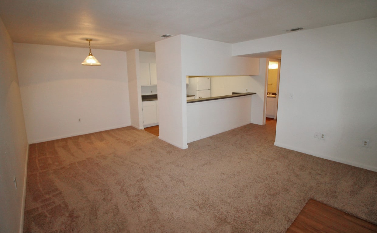 platform high top shoes