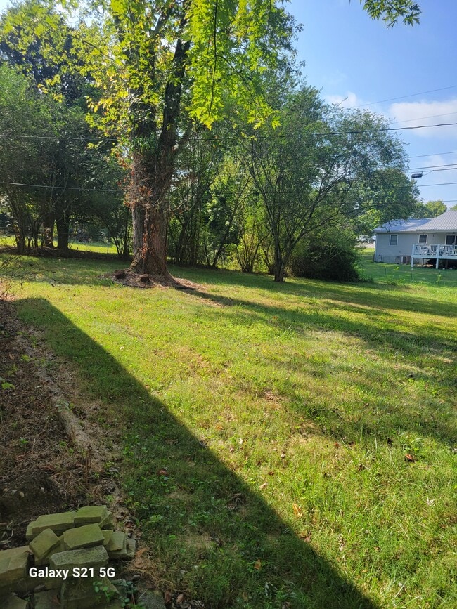 Building Photo - 253 Ivanhoe Ln