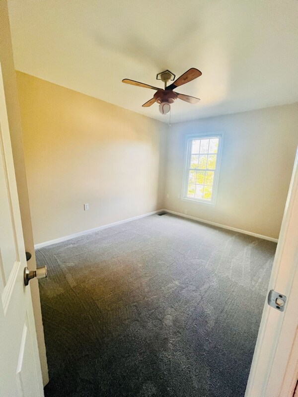 Building Photo - 12036 Stallion Ct