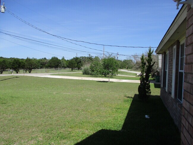 Building Photo - 165 Armadillo Ln