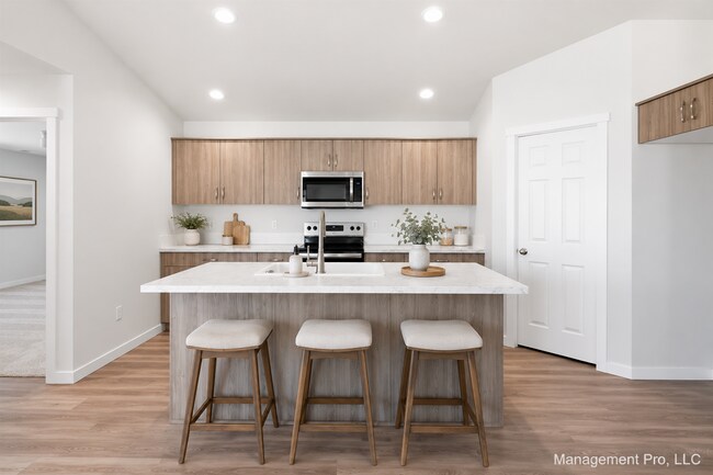 Building Photo - Beautiful, New 4-Bedroom, 2-Bath Single-Story Home! 3 car garage. 2126 Square feet.