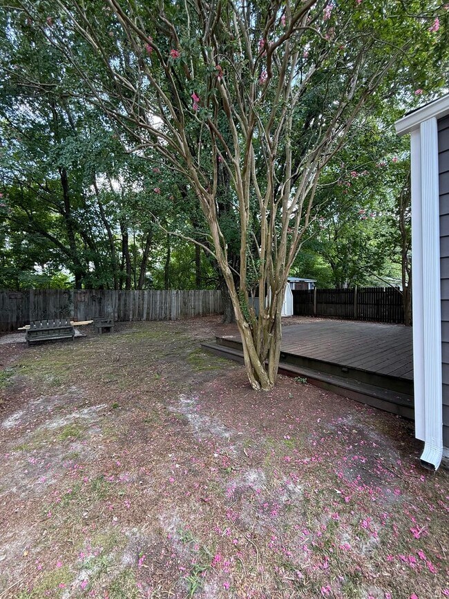 Building Photo - Bungalow in Charlotte with 2 bedrooms, 2 baths