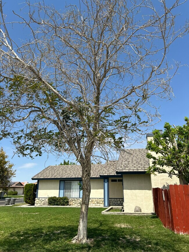 Front Side View - 45408 17th St E