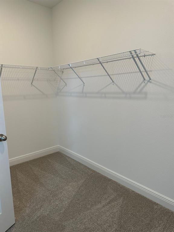 Building Photo - 19044 Blueleaf St