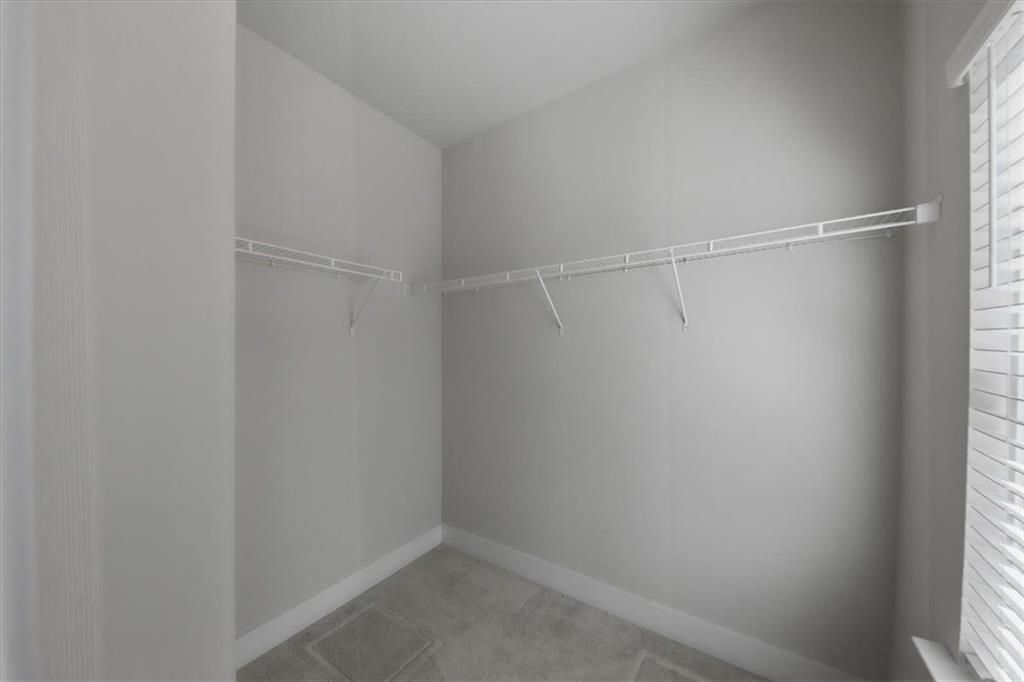 Building Photo - 3796 Oxford Cir