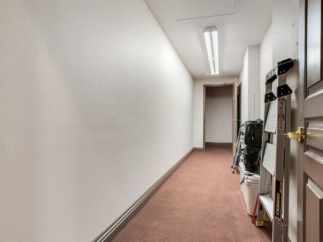 Building Photo - 3507 Bayshore Blvd