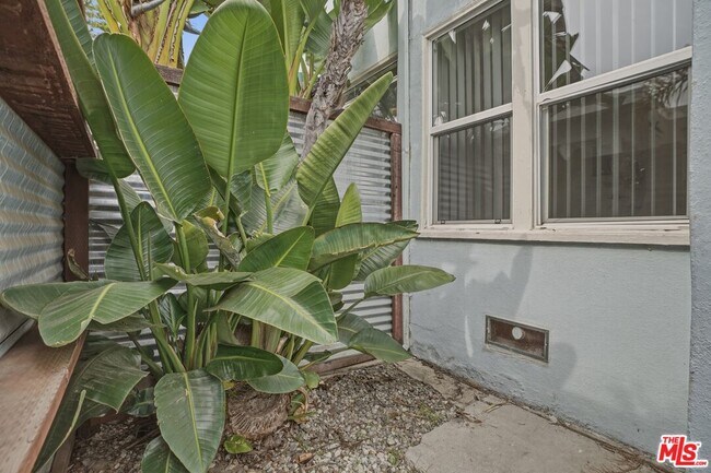 Building Photo - 2317 Ocean Park Blvd
