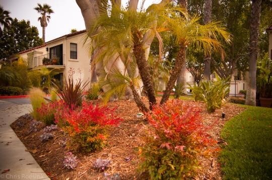Home - 3151 Vista Mar