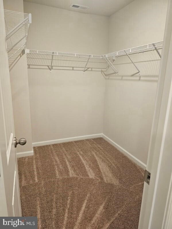 Building Photo - 43 Cramsford St