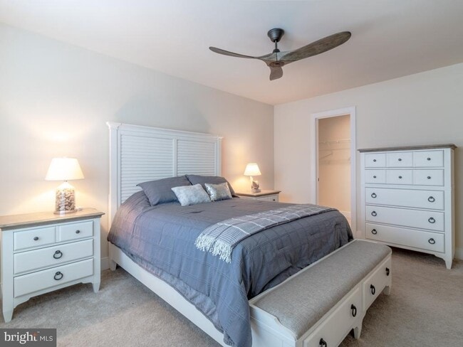 Building Photo - 35753 Carmel Terrace