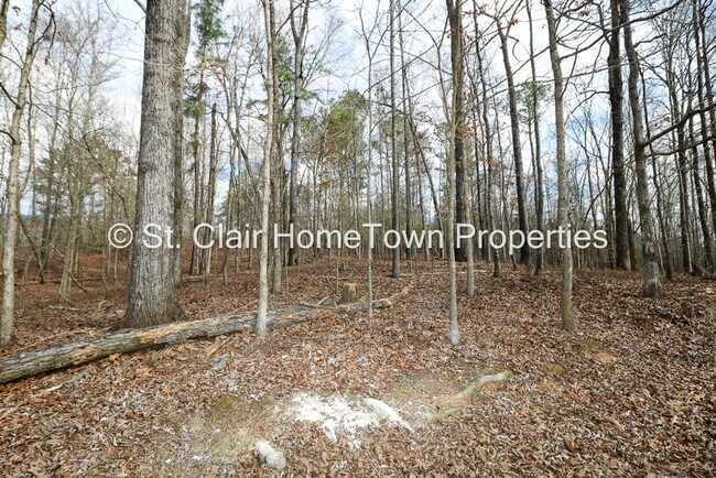 Building Photo - Adorable Home in Cook Springs