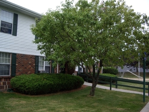 Building Photo - Woodsview Manor Apartments