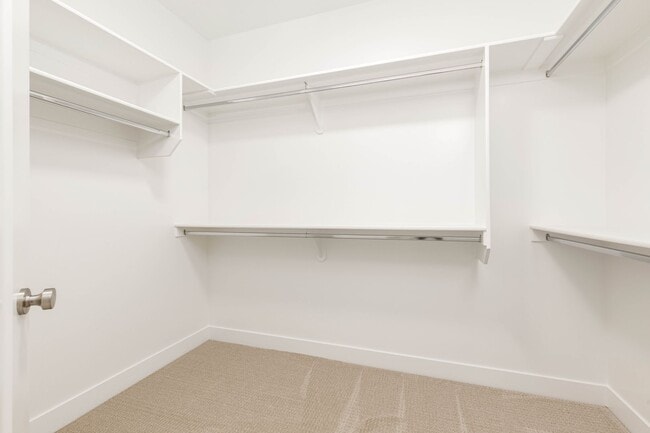 Building Photo - Beautiful New Home with access to community pool