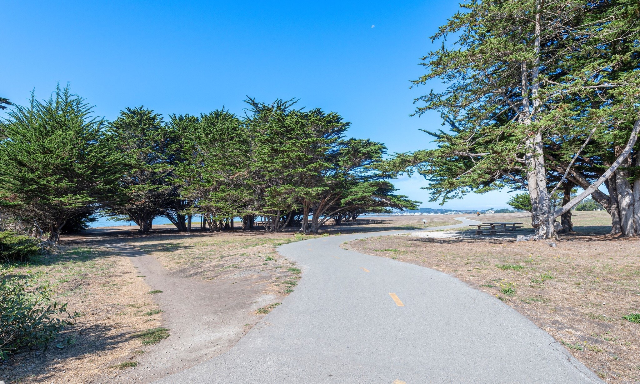 Nearby Trail - 430 3rd Ave