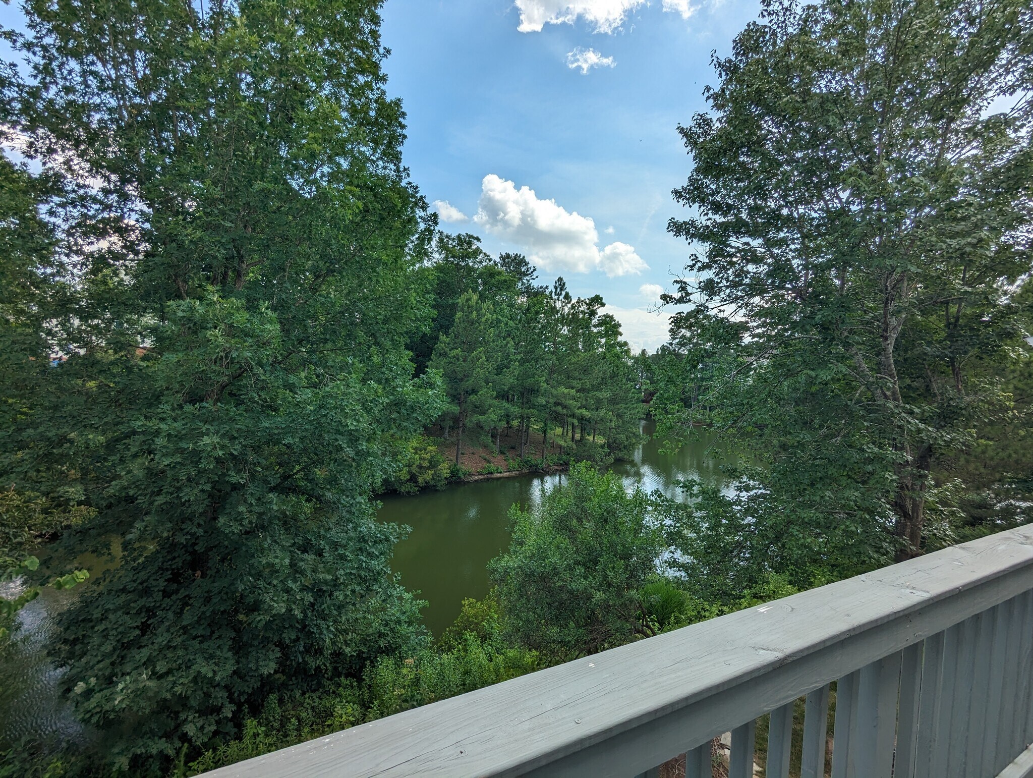 View from patio - 106 Chandler Chase Ct