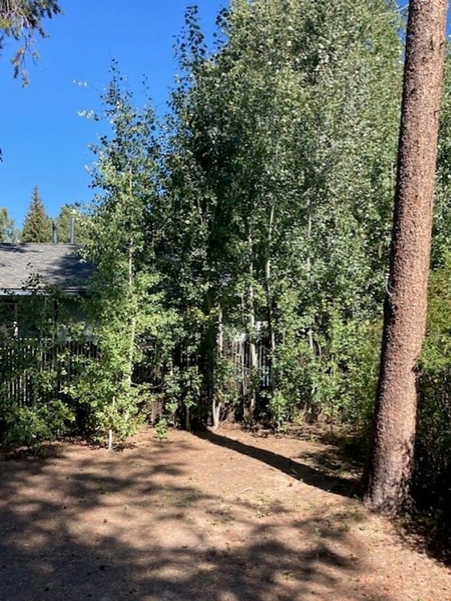 Building Photo - *Small Cozy Furnished Cabin*