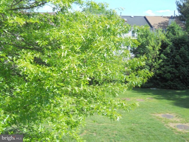 Building Photo - 2807 Cornet Ct