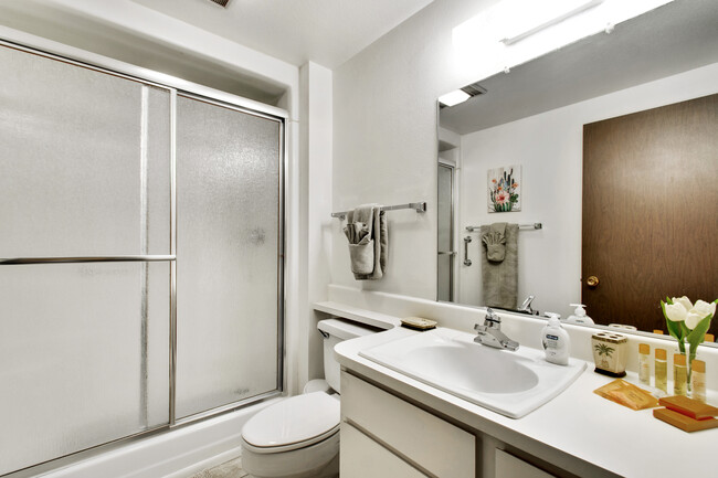 Master bathroom suite includes a shower with a bench. Complimentary toiletries provided for your initial stay. Just bring your toothbrush! - 12414 W Nugget Ct