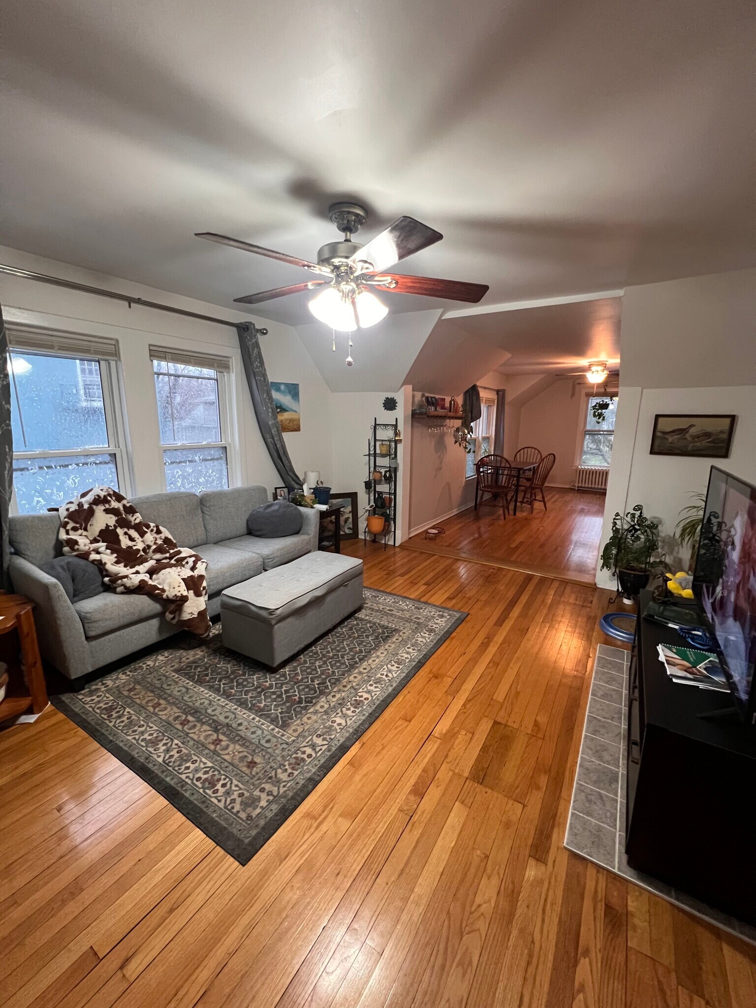 Building Photo - 17 Idlewild Park