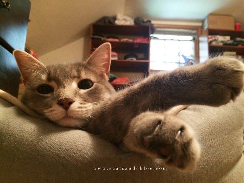 Building Photo - 2715 Ferndale Ave