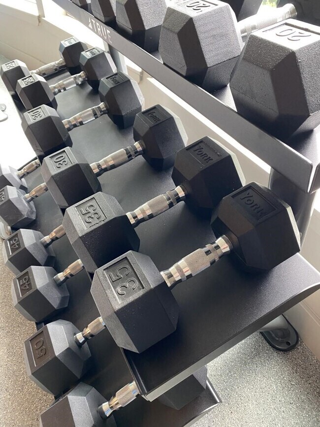 Building Photo - 256 Manhattan Blvd