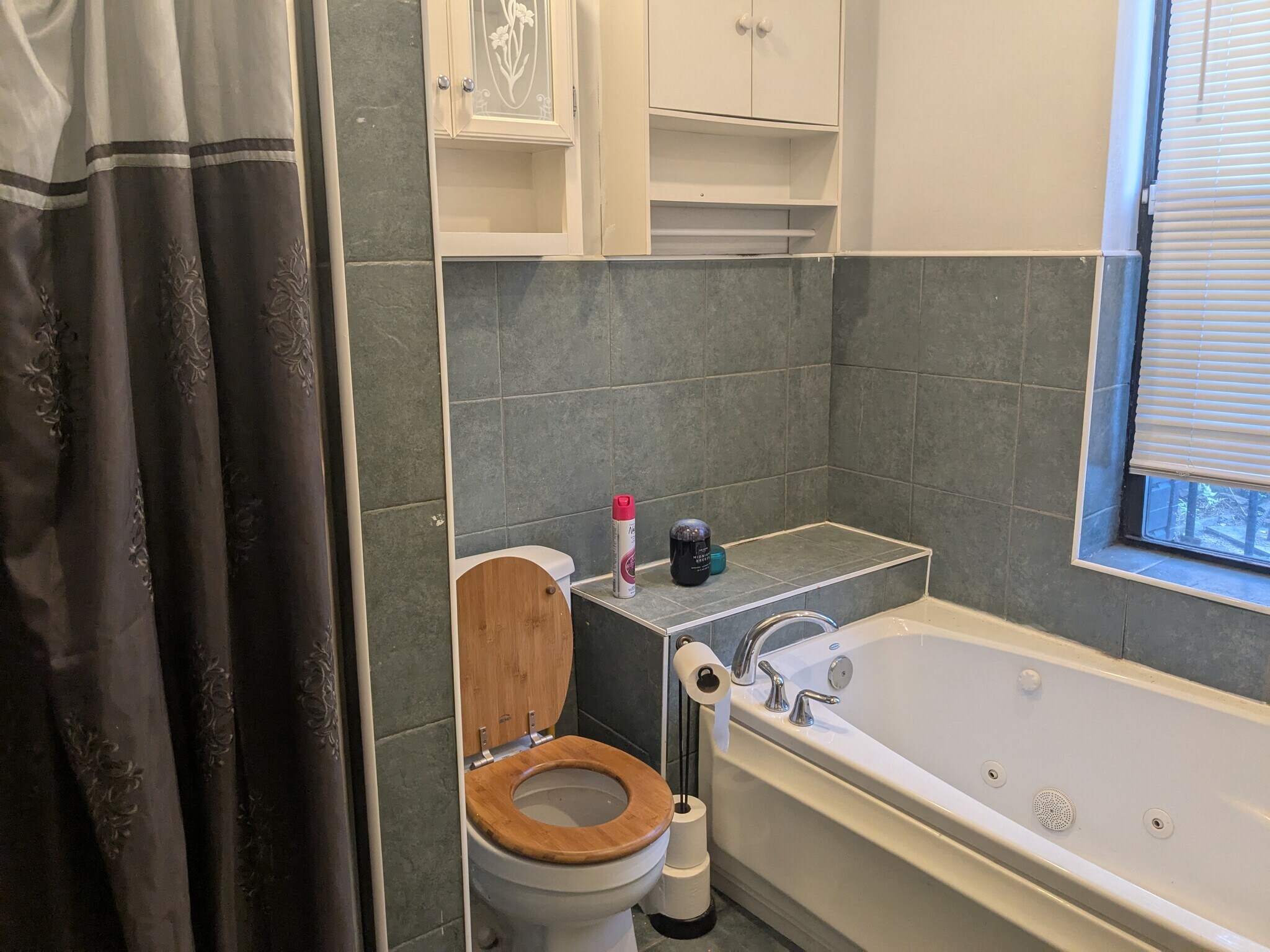bathroom - 314 Alexander Ave
