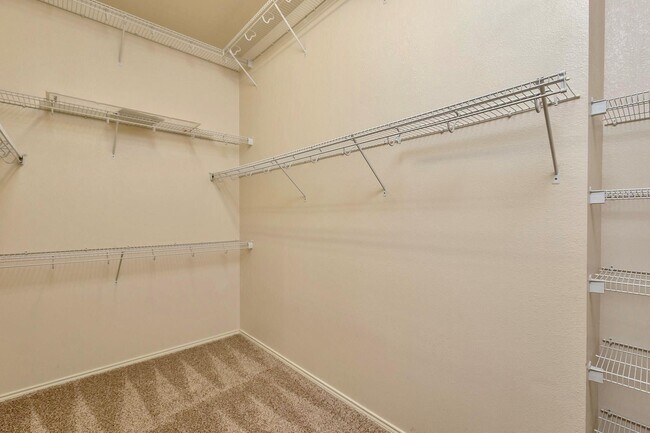 Building Photo - 30306 Castle Forest Dr