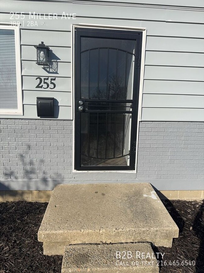 Building Photo - 255 Miller Ave