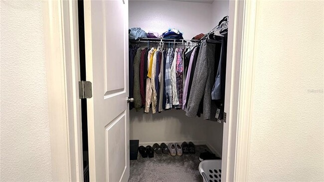 Building Photo - 421 Pinecrest Loop