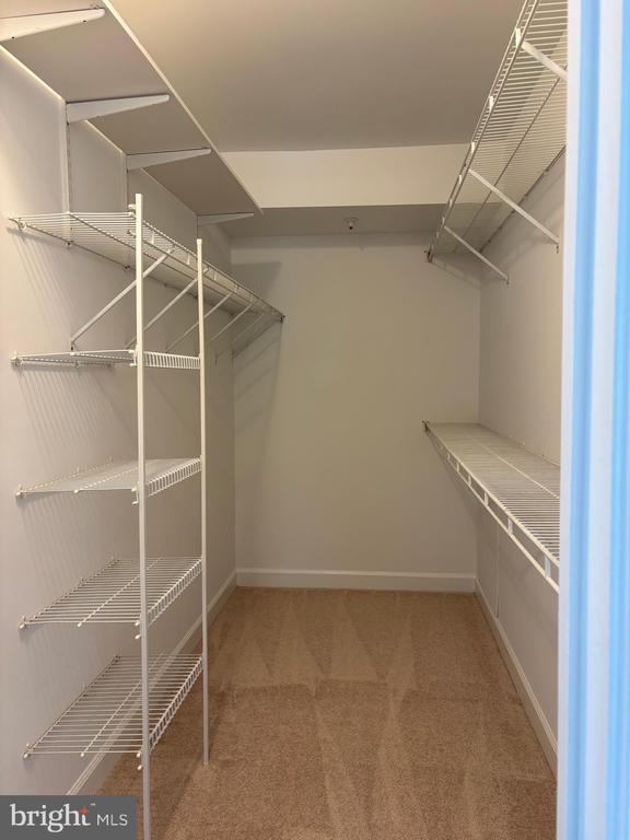 Building Photo - 12233 Fairfield House Dr