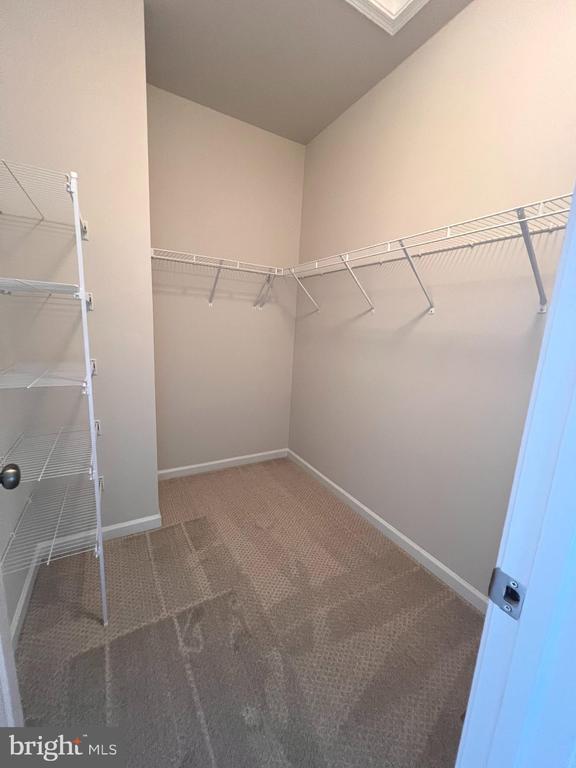 Building Photo - 102 FLAXEN MANE Ct