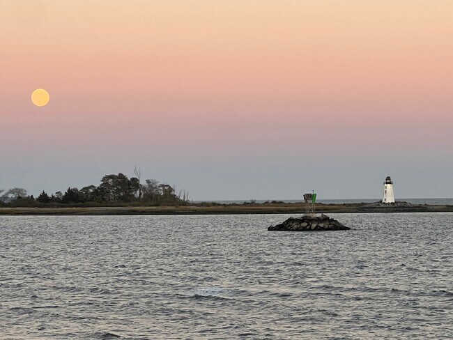 Building Photo - 26 Pearsall Pl