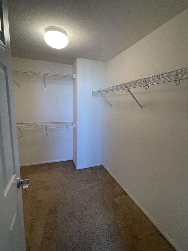 Building Photo - 300 Tesoro Gln