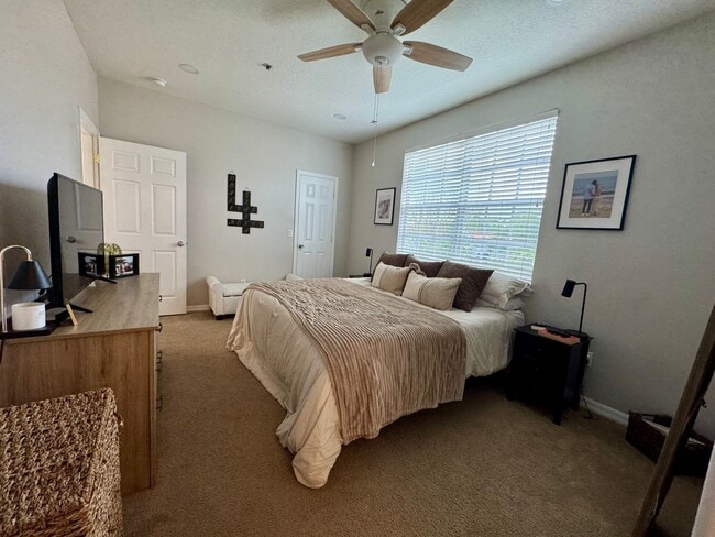 Building Photo - Private Townhouse in Heart of South Tampa