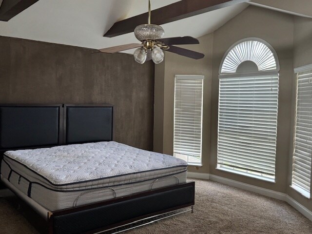 Building Photo - 31230 Wildcat Dr