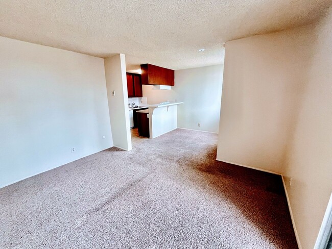 Building Photo - Barrier Reef Studio Condo Close to the Bea...