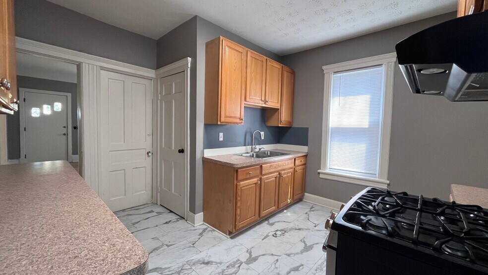 Kitchen cabinets and sink - 2366 E 85th St