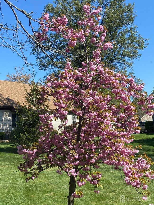 Building Photo - 8 Benjamin Franklin Dr