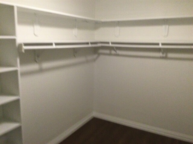 Building Photo - 851 Stardust Ct