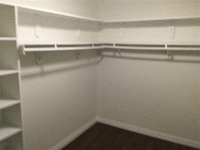 Building Photo - 851 Stardust Ct