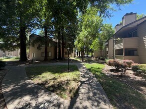 Building Photo - 2 Bedroom / 1 Bathroom | Upstairs Condo Available Now