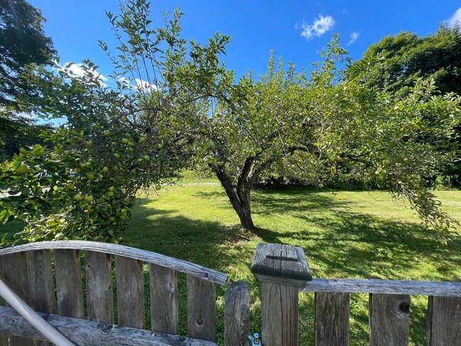 Building Photo - Exceptional 4-Bedroom Home for Rent in Dal...