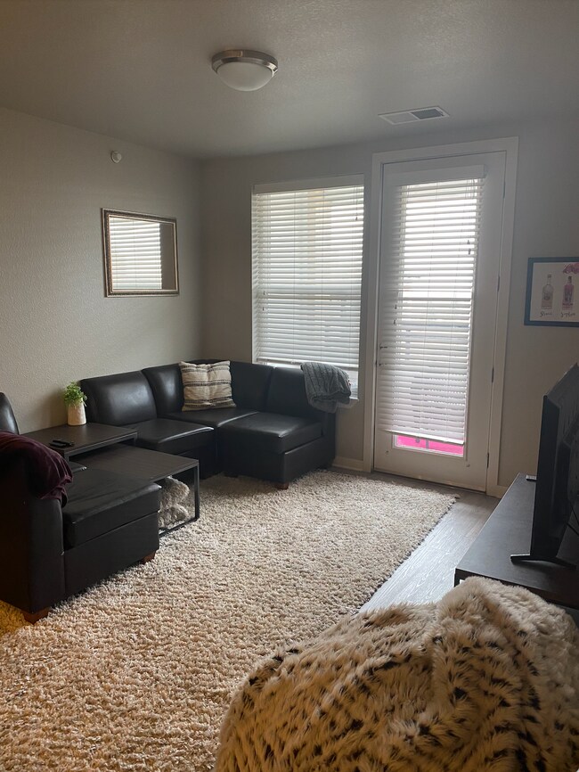 Fully Furnished Living room - 800 28th St