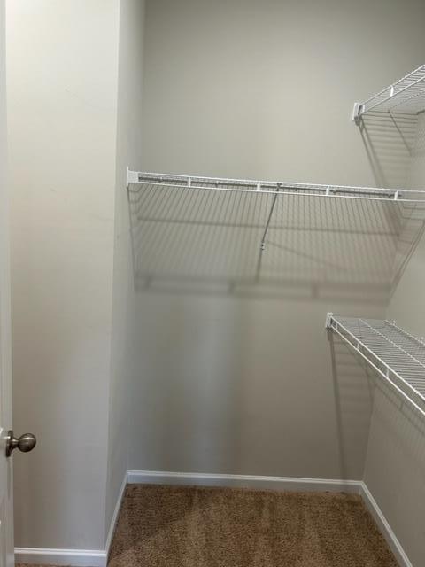 Building Photo - 1773 Trevino Dr