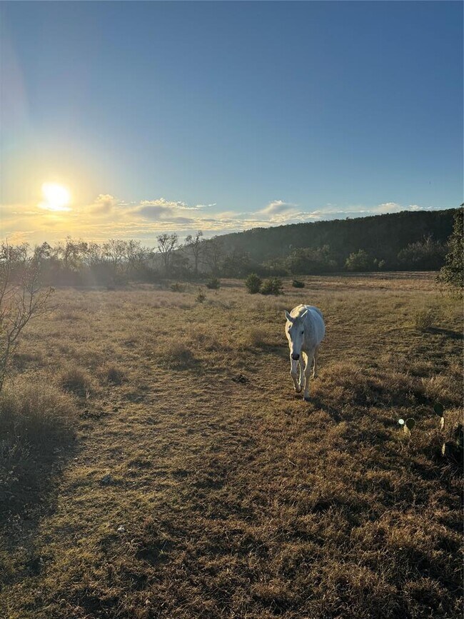 Building Photo - 1441 Gatlin Creek Rd