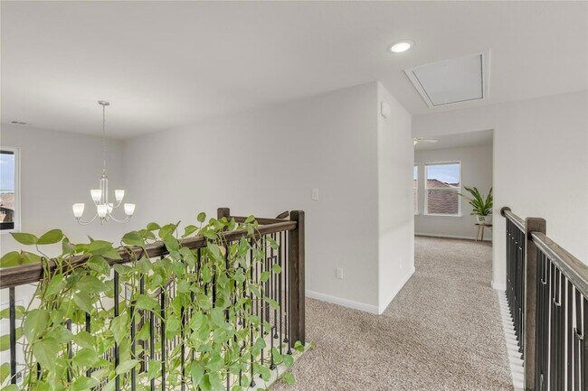 Building Photo - 223 Balsam St
