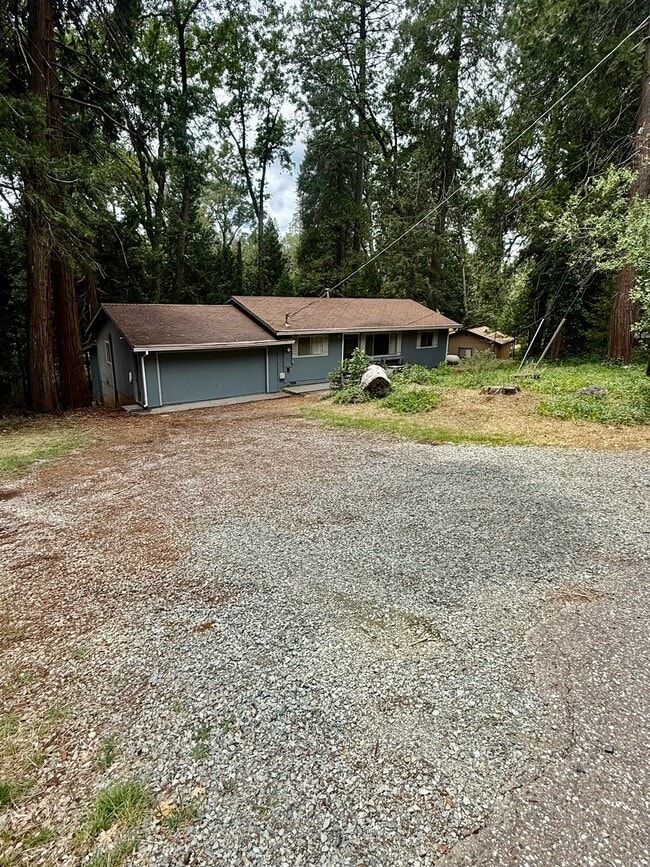 Building Photo - 11599 Upper Pine Hill Dr