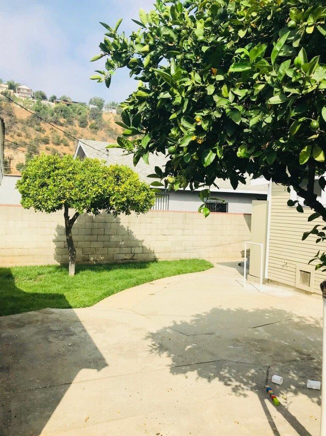 Backyard - 4910 Monte Vista St